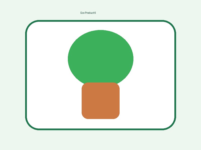 Terracotta Pot